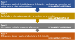 EJEMPLO DE PASOS PRESENTACIÓN LICITACIÓN PÚBLICA OBRAS SERVICIOS SUMINISTRO ESPAÑA