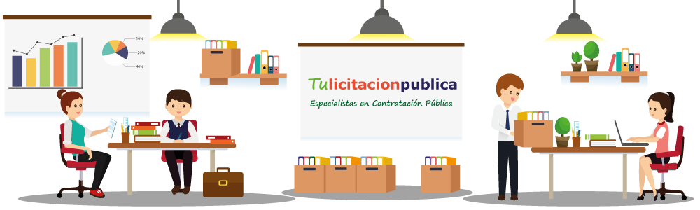 empresa estudio de licitaciones públicas de obras servicios y suministro en España